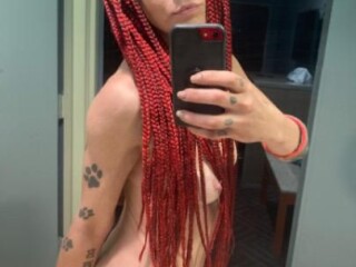 tabby-cat-female-escorts-in-biloxi-ms