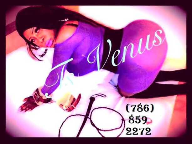 shemale-escort-in-miami-fl-786-859-2272-big-3